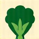 Icon of shield overlaying a broccoli floret, symbolizing nutritional immunity.