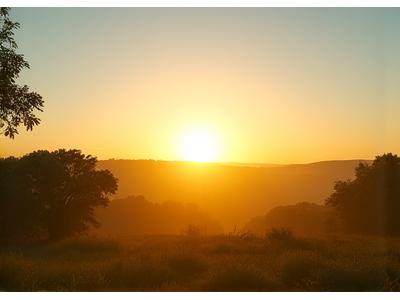 Sunrise over trees, representing fresh starts and mental clarity.